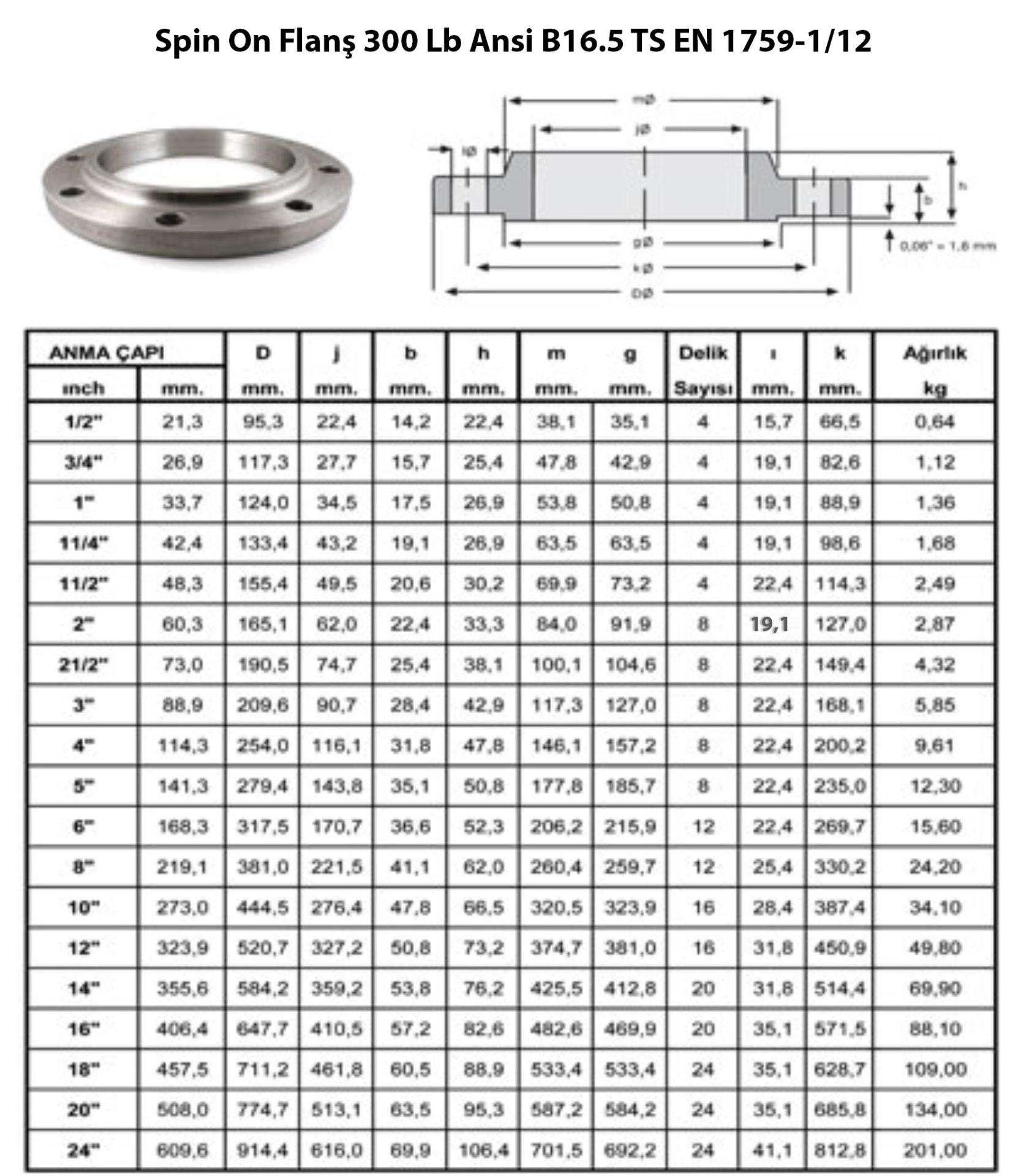 Slip On Flanş 300 Lb Ansi B16.5 TS EN 1759-1/12